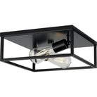 Progress Lighting - Perimeter Flush Mount - Lights Canada