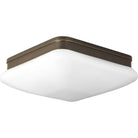 Progress Lighting - Appeal Flush Mount - Lights Canada