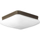 Progress Lighting - Appeal Flush Mount - Lights Canada