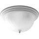 Progress Lighting - Melon Flush Mount - Lights Canada