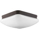 Progress Lighting - Appeal Flush Mount - Lights Canada