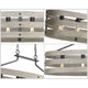 Progress Lighting - Gulliver Chandelier - Lights Canada