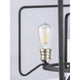 Progress Lighting - Foster Chandelier - Lights Canada