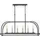 Progress Lighting - Seneca Linear Suspension - Lights Canada