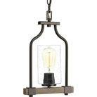 Progress Lighting - Barnes Mill Mini Pendant - Lights Canada