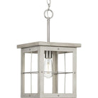 Progress Lighting - Hedgerow Pendant - Lights Canada