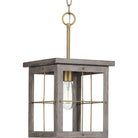 Progress Lighting - Hedgerow Pendant - Lights Canada