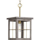 Progress Lighting - Hedgerow Pendant - Lights Canada