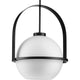 Progress Lighting - Delayne Pendant - Lights Canada