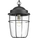 Progress Lighting - Holcombe Outdoor Ceiling Light - Lights Canada
