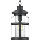 Progress Lighting - Haslett Outdoor Ceiling Light - Lights Canada
