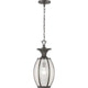 Progress Lighting - River Place Outdoor Ceiling Light - Lights Canada