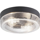 Progress Lighting - Weldon Outdoor Ceiling Light - Lights Canada