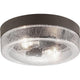 Progress Lighting - Weldon Outdoor Ceiling Light - Lights Canada