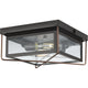 Progress Lighting - Barlowe Outdoor Ceiling Light - Lights Canada