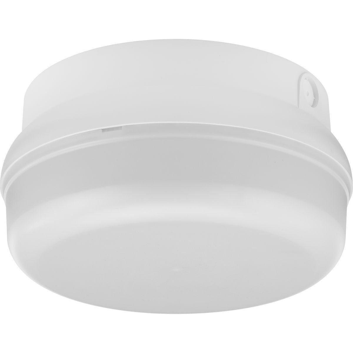 Progress Lighting - Hard Nox Outdoor Ceiling Light - Lights Canada