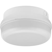 Hard Nox Outdoor Ceiling Light