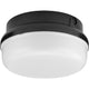 Progress Lighting - Hard Nox Outdoor Ceiling Light - Lights Canada