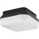 Progress Lighting - Hard Nox Outdoor Ceiling Light - Lights Canada