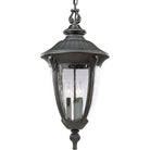 Progress Lighting - Meridian Outdoor Ceiling Light - Lights Canada