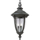Progress Lighting - Meridian Outdoor Ceiling Light - Lights Canada