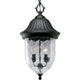 Progress Lighting - Coventry Outdoor Ceiling Light - Lights Canada