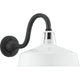 Progress Lighting - Cedar Springs Outdoor Wall Light - Lights Canada