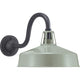 Progress Lighting - Cedar Springs Outdoor Wall Light - Lights Canada