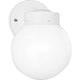 Progress Lighting - Utility Lantern Outdoor Wall Light - Lights Canada