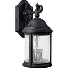 Progress Lighting - Ashmore Outdoor Wall Light - Lights Canada