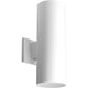 Progress Lighting - Cylinder Outdoor Wall Light - Lights Canada