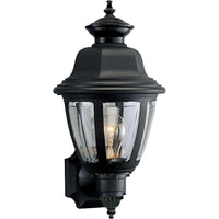 Non Metallic Incandescent Outdoor Wall Light