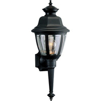 Non Metallic Incandescent Outdoor Wall Light