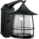 Progress Lighting - Prairie Outdoor Wall Light - Lights Canada