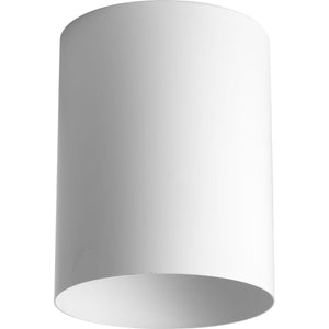 Progress Lighting - Cylinder Outdoor Ceiling Light - Lights Canada