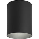 Progress Lighting - Cylinder Outdoor Ceiling Light - Lights Canada