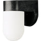 Progress Lighting - Polycarbonate Outdoor Wall Light - Lights Canada