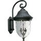 Progress Lighting - Coventry Outdoor Wall Light - Lights Canada