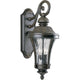 Progress Lighting - Nottington Outdoor Wall Light - Lights Canada
