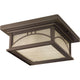 Progress Lighting - Residence Outdoor Ceiling Light - Lights Canada
