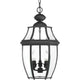 Progress Lighting - New Haven Outdoor Ceiling Light - Lights Canada