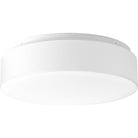 Progress Lighting - Drums And Clouds Flush Mount - Lights Canada