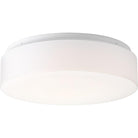 Progress Lighting - Drums And Clouds Flush Mount - Lights Canada
