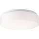 Progress Lighting - Drums And Clouds Flush Mount - Lights Canada