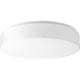 Progress Lighting - Drums And Clouds Flush Mount - Lights Canada