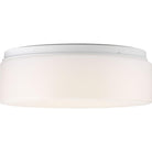 Progress Lighting - Drums And Clouds Flush Mount - Lights Canada