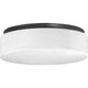 Progress Lighting - Drums And Clouds Flush Mount - Lights Canada