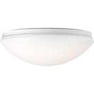 Progress Lighting - Drums And Clouds Flush Mount - Lights Canada