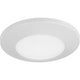 Progress Lighting - Emblem Flush Mount - Lights Canada