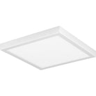 Progress Lighting - Everlume Flush Mount - Lights Canada